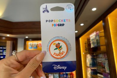 New Orange Bird PopSocket Flies Into Walt Disney World