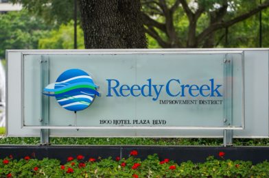 Fitch Credit Rating Agency Warns Dissolution of Reedy Creek Improvement District Could Have Negative Consequences