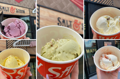 REVIEW: Limited Edition May ‘Flower Power’ Flavors Bloom at Salt & Straw in Disney Springs