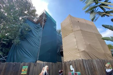 Scrim Returns to Tarzan’s Treehouse in Disneyland as Refurbishment Chugs On