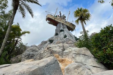 New $69 2-Day Disney Water Park Ticket Now Available to Florida Residents