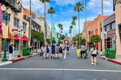 REVIEW: A Plant-Based Snack in Disney World that Even Meat-Eaters Will Love