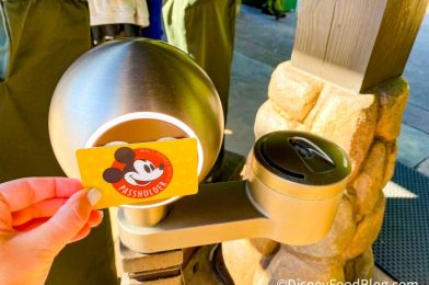 Disney World CHANGES How Annual Passholders Get Discounts