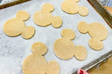 Disney Recipe: Learn to Make Matzo with Mickey and Minnie!