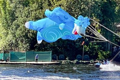 VIDEOS: KiteTails Has CHANGED at Disney World — Here’s What to Expect!