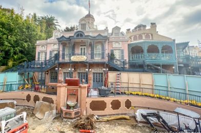 UPDATE on WHEN Blue Bayou Restaurant Could Reopen in Disneyland