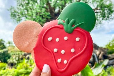 REVIEW: STRAWBERRY Continues to Reign as a Disney World Food TREND