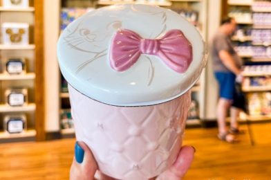 You Can Buy Disney Princess Candles ONLINE RIGHT NOW!