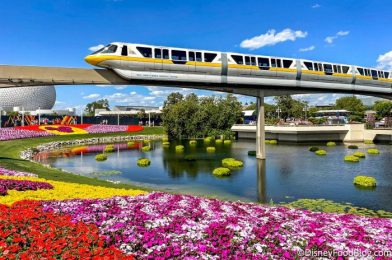 7 Construction Updates You Need to Know Before Your Next Disney World Trip