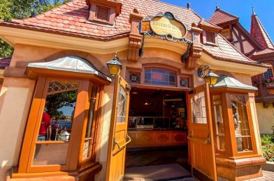 A DFB Favorite Snack Has Gone MISSING from EPCOT