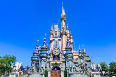 50 Disney World Spots That Close At Weird Times