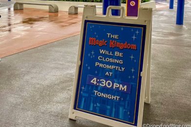 What to Do When a Popular Ride Closes EARLY in Disney World