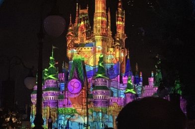 Common Misconceptions of Disney World First-Timers