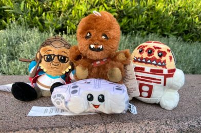 Millennium Falcon: Smugglers Run Wishables Flying Into Disney Parks for May the 4th