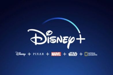 Disney+ Subscribers Should Pay Attention September 8th!