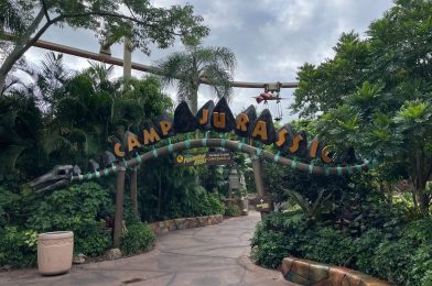 Pteranodon Flyers Reopens at Universal’s Islands of Adventure