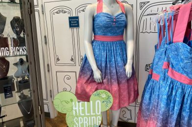 Make it Pink and Blue With New Princess Aurora Dress at Disneyland Resort