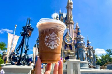 This is Why We Warn You About Starbucks in the Morning at Disney World…😳