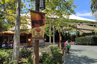 PHOTOS, VIDEO: ‘Tale of the Lion King’ Debuts at Disneyland