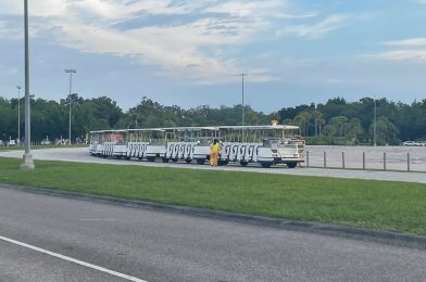 PHOTOS, VIDEO: Trams Return to Disney’s Animal Kingdom After 801 Days