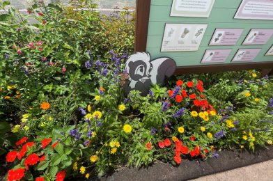 Exploring Bambi’s Butterfly House & Gardens at the Flower and Garden Festival