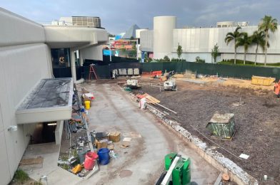 Construction Continues Outside Guest Relations, in World Celebration, and World Nature at EPCOT