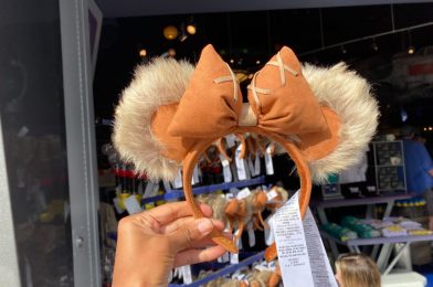 New ‘Star Wars’ Ewok Ear Headband Designed by Ashley Eckstein Arrives at Disneyland