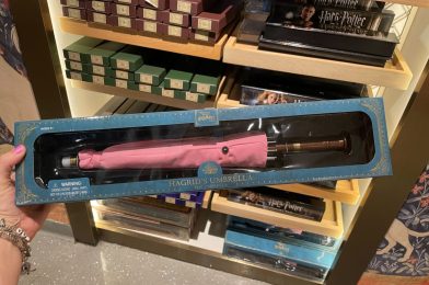 New ‘Harry Potter’ Hagrid’s Umbrella Toy Available at Universal Orlando Resort