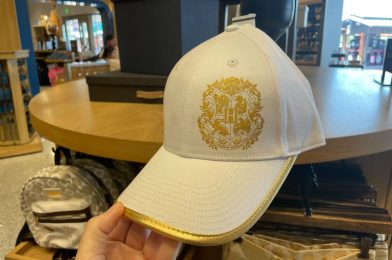 New ‘Harry Potter’ Hogwarts Ball Cap and Magnet at Universal Orlando Resort