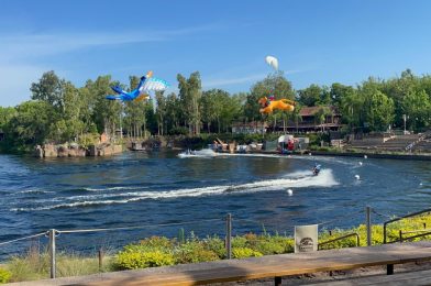 VIDEO: Shorter, Rolling Performances of Disney KiteTails Begin at Disney’s Animal Kingdom