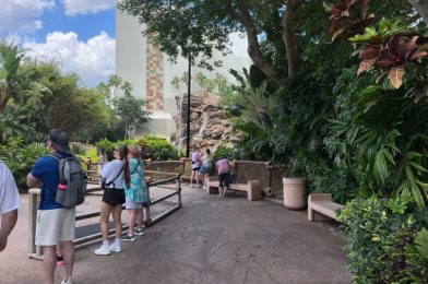 Construction Walls Down, Revealing New Fencing Around Jurassic Park River Adventure at Universal’s Islands of Adventure