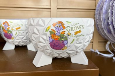 New Spaceship Earth Figment Bowl Available at EPCOT International Flower & Garden Festival