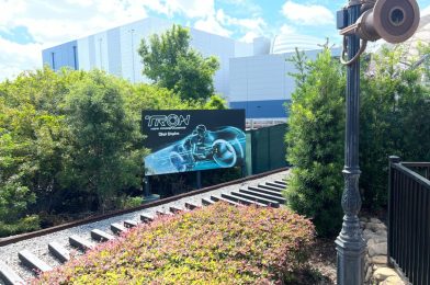 Disneyland Executive Involved in ‘Cabal’ Influencing Anaheim Government, Radiator Springs Racers Closed After Possible Ride Vehicle Fire, and More: Daily Recap (5/25/22)