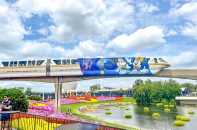 The 4 Best Things to Do in Disney World in June