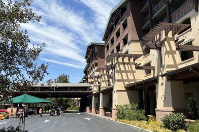 Early Entry, Package Delivery Return to Disneyland Hotels