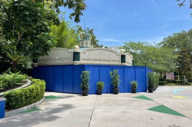 Construction Walls Up Around Possible Future Shrek & Donkey Meet and Greet Location in Universal Studios Florida