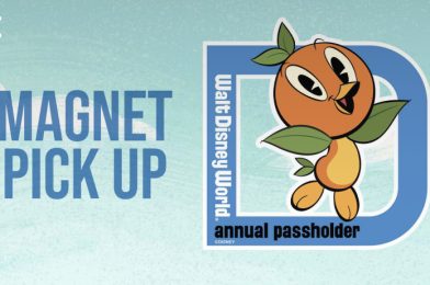 New Orange Bird Annual Passholder Magnet Coming to Disney Springs on July 5