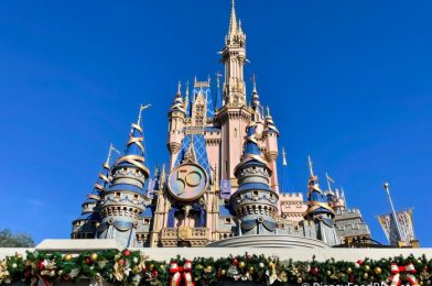 DFB Video: 5 More Perfect Days in Disney World