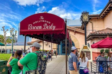 DFB Video: The BEST Restaurant in Every Disney Park