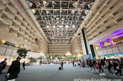 NEWS: Orlando Airport Announces Reopening Details Following Hurricane Ian