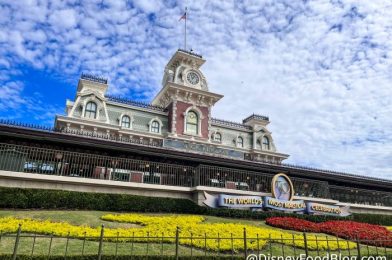 Looking for a Delicious and Unique Flatbread in Magic Kingdom? Here’s Where to Go!