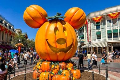 Where To Get the Donald Duck Candy Corn Cup in Disneyland