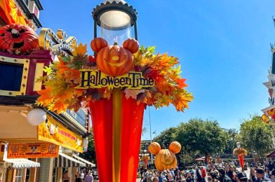 Where to Find 3 Halloween Souvenirs for LESS than $8 Each at Disneyland Resort