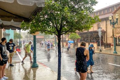 Hurricane Ian Prompts CHANGE in Dining Cancelation Policy for Disney World