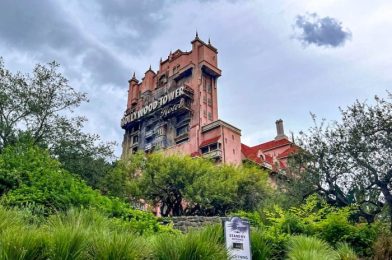 Tropical Storm Watch Now in Effect for Disney World Counties