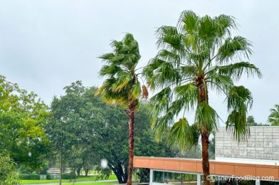 PHOTOS: See Inside Disney World After Hurricane Ian