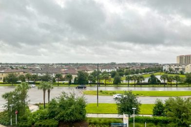 As Guests Shelter in Disney Hotels for Hurricane Ian, Mobile Order Slots Fill Up