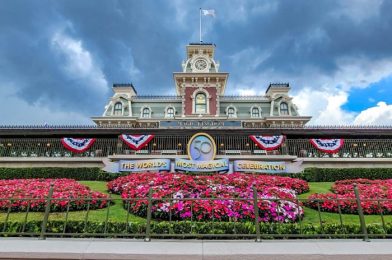 What’s New at Magic Kingdom: MORE 50th Anniversary Vans Merchandise