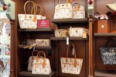 NEW Minnie Mouse Dooney & Bourke Collection Now Available in Disney World and ONLINE