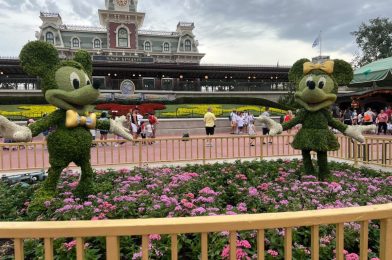 PHOTOS: Preparation Begins for Hurricane Ian at Magic Kingdom